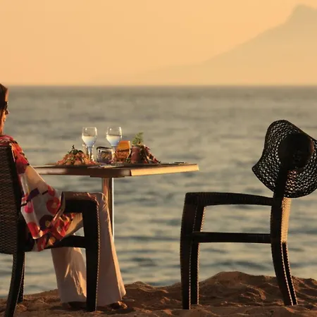 Aout 32 아파트 칸느