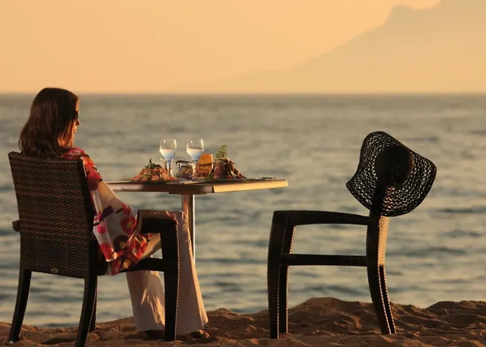 Aout 32 アパート カンヌ