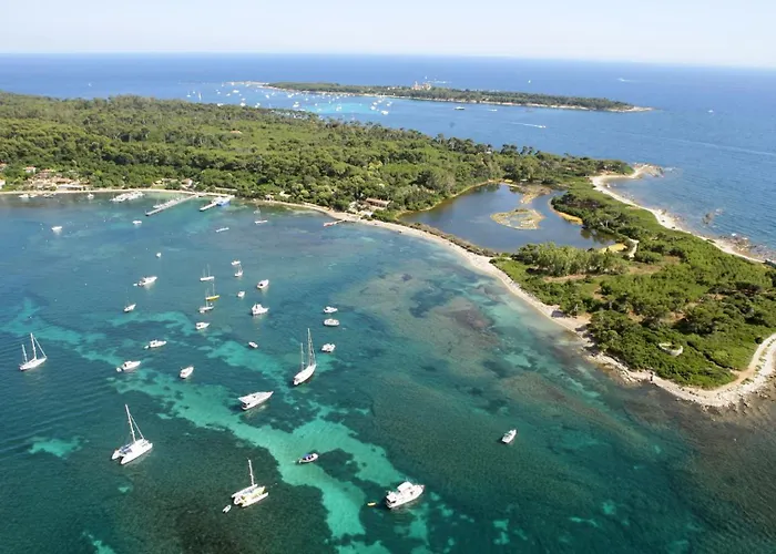 Aout 32 アパート カンヌ